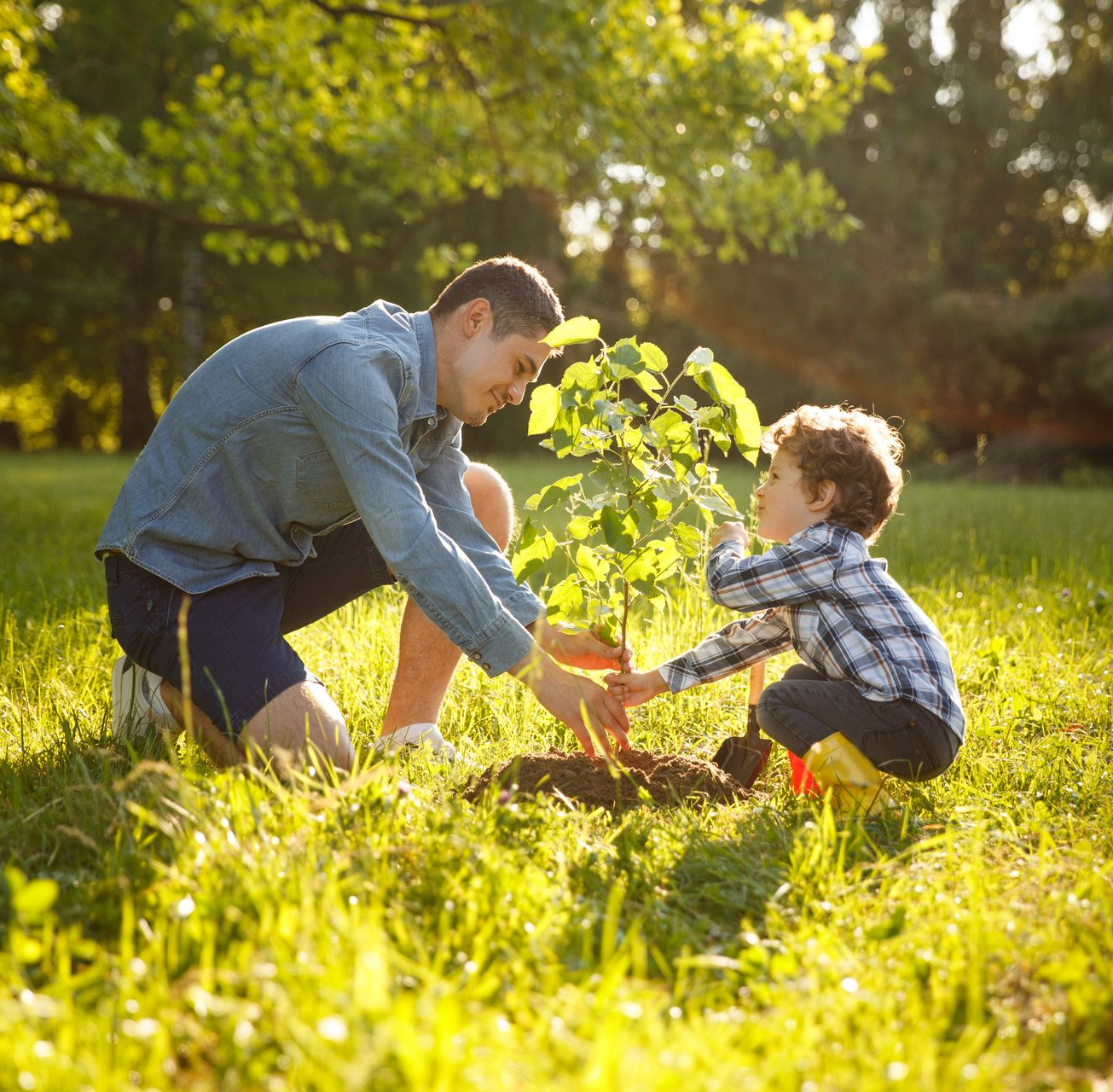 Un homme et un enfant plantent un arbre dans un champ herbeux ensoleillé.