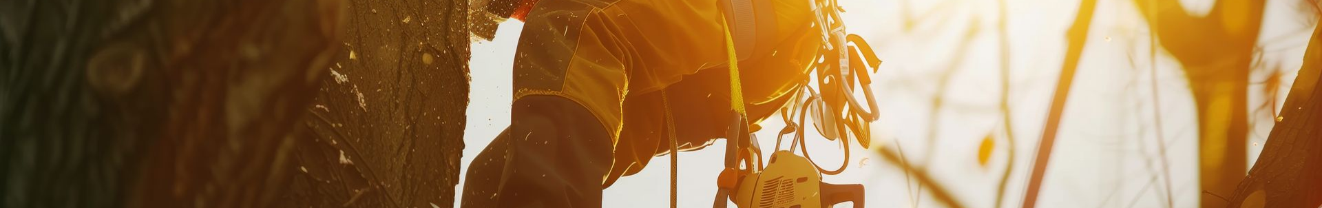 Gros plan sur une personne au soleil, vêtue d'un harnais.