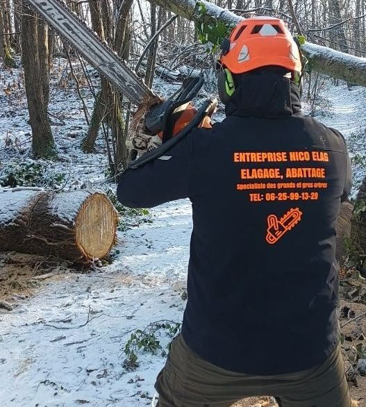 Un arboriste coupe un arbre à la tronçonneuse dans une forêt enneigée.