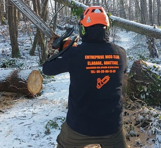 Arboriste portant un casque orange et tenant une tronçonneuse dans une forêt enneigée. Veste noire avec logo visible.