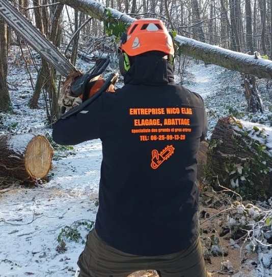 Une personne portant des gants utilise une tronçonneuse orange pour abattre un arbre.