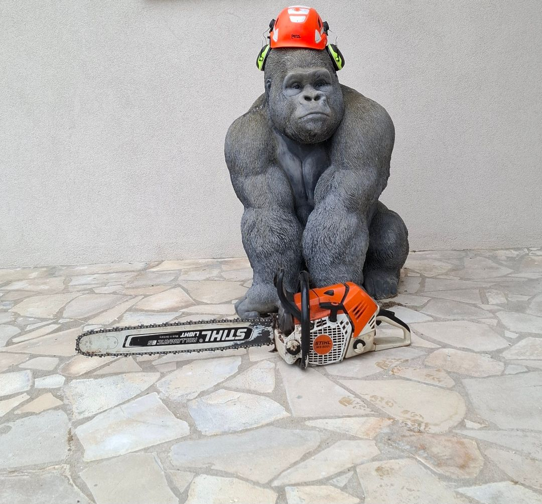 Arboriste portant un casque orange et tenant une tronçonneuse dans une forêt enneigée. Veste noire avec logo visible.