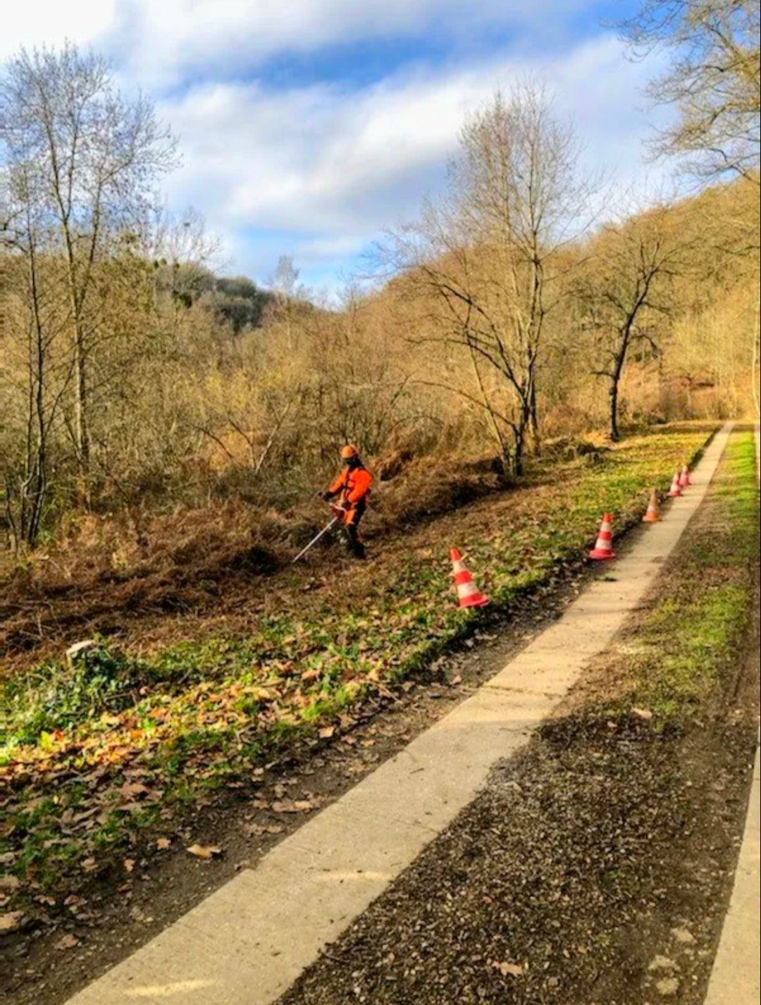 Champ envahi par les mauvaises herbes et chemin de gravier, clôture en fil de fer en arrière-plan sous un ciel bleu.