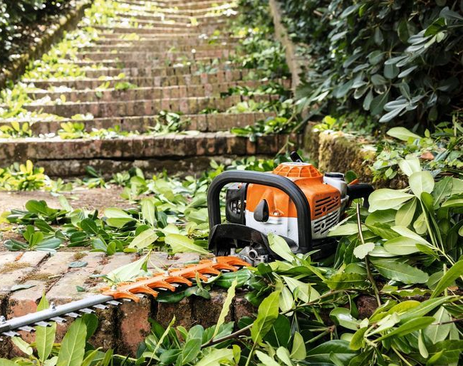 Une personne taille une haie verte avec un taille-haie électrique turquoise dans un jardin.