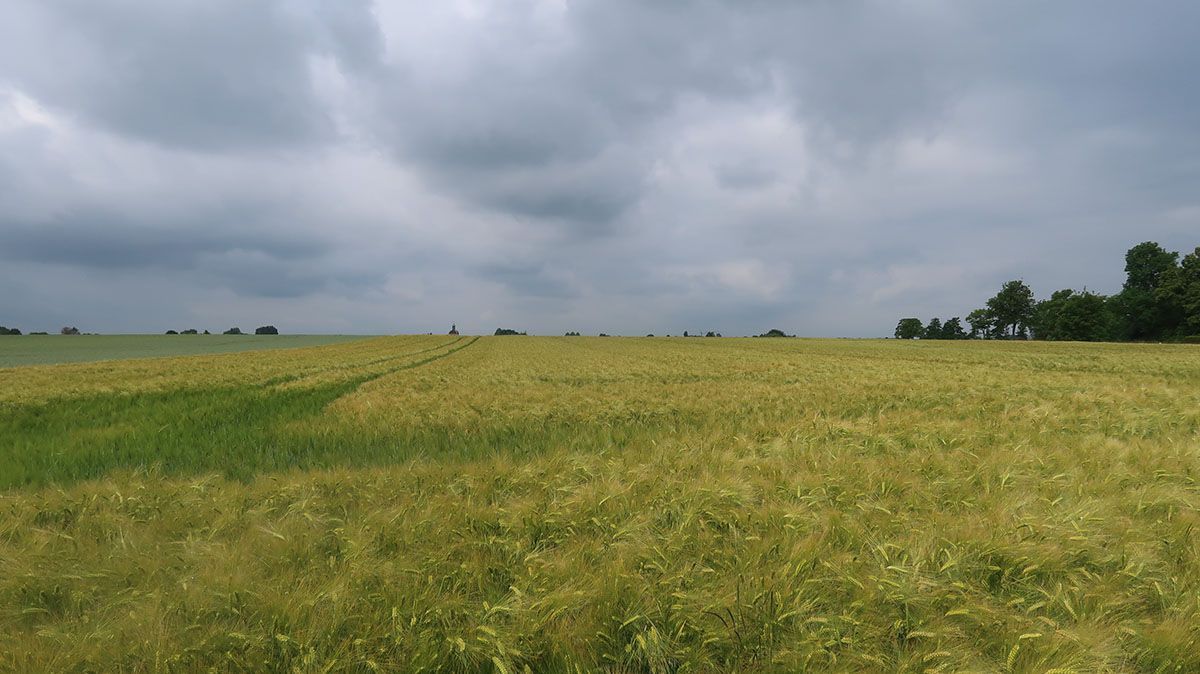LFB für neue Hoffläche