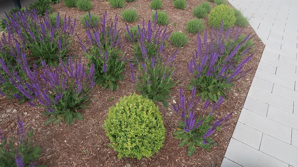 Reha-Zentrum Weserberglandklinik