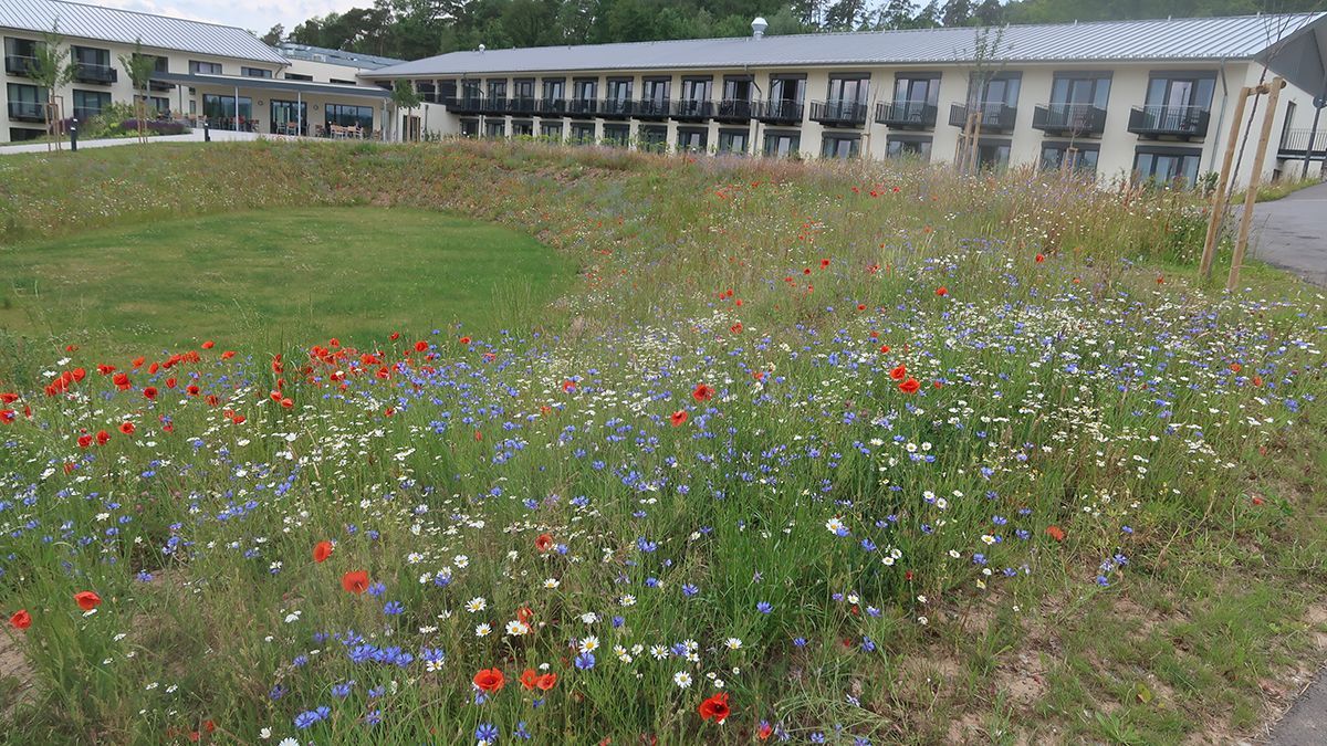Reha-Zentrum Weserberglandklinik