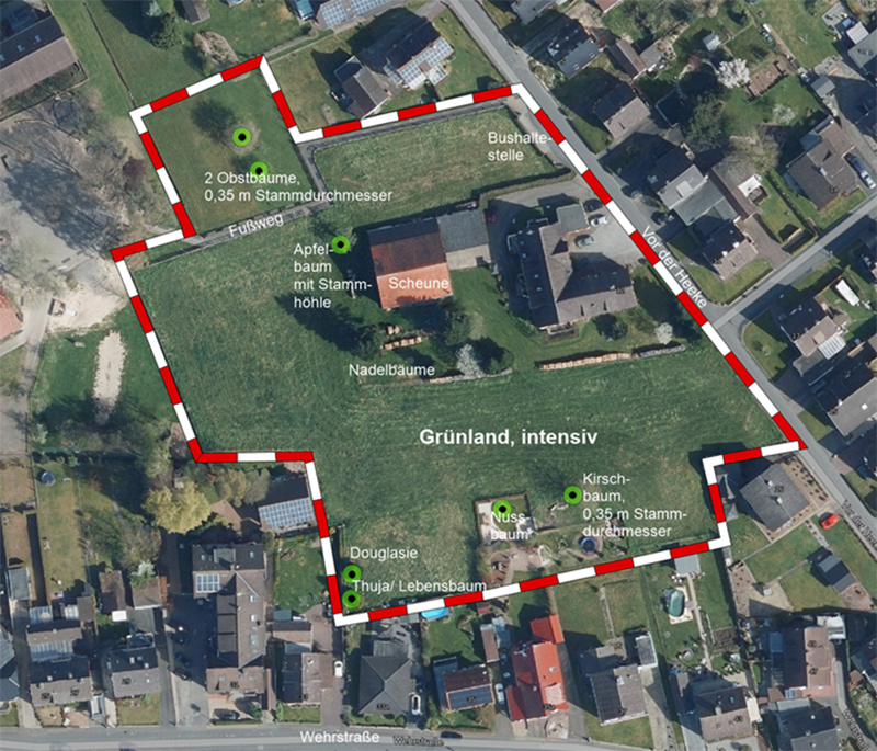 Umweltbelange für Bebauungsplan