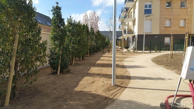 Définition des espaces et allées