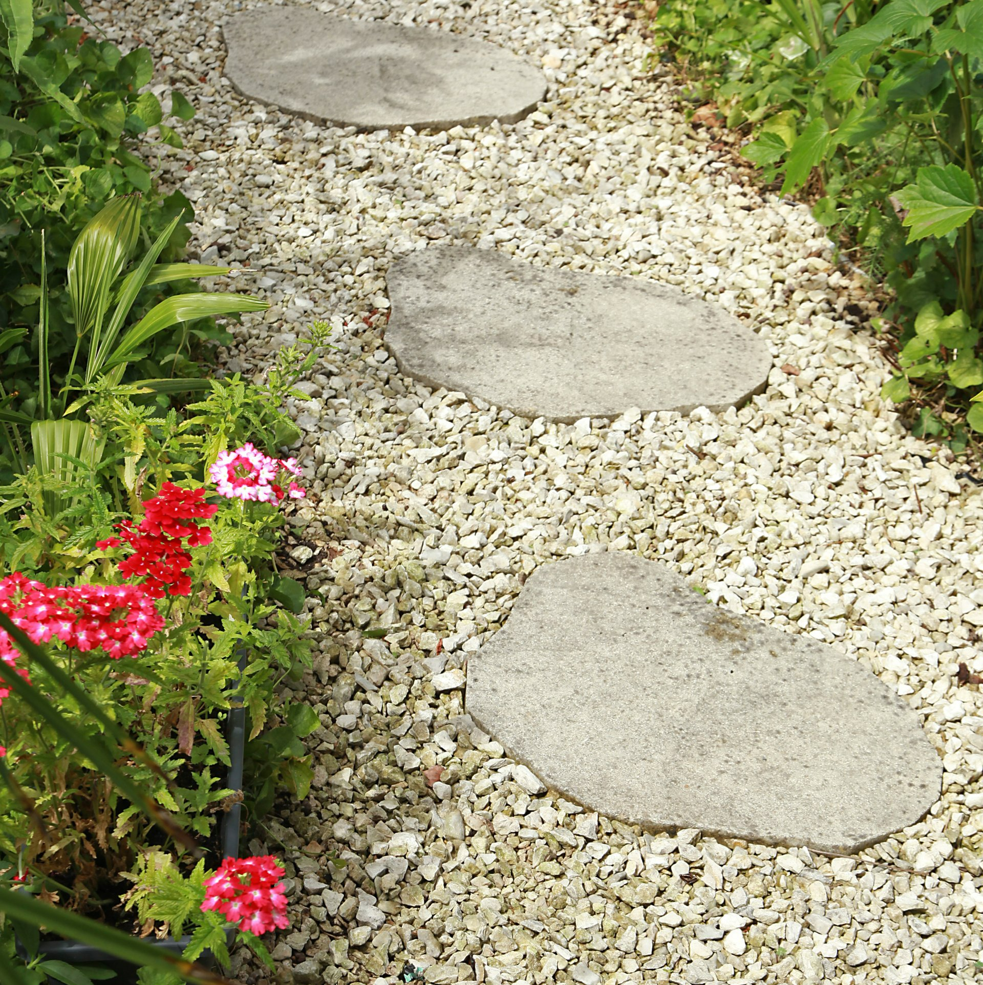 Allée de jardin et pas japonais