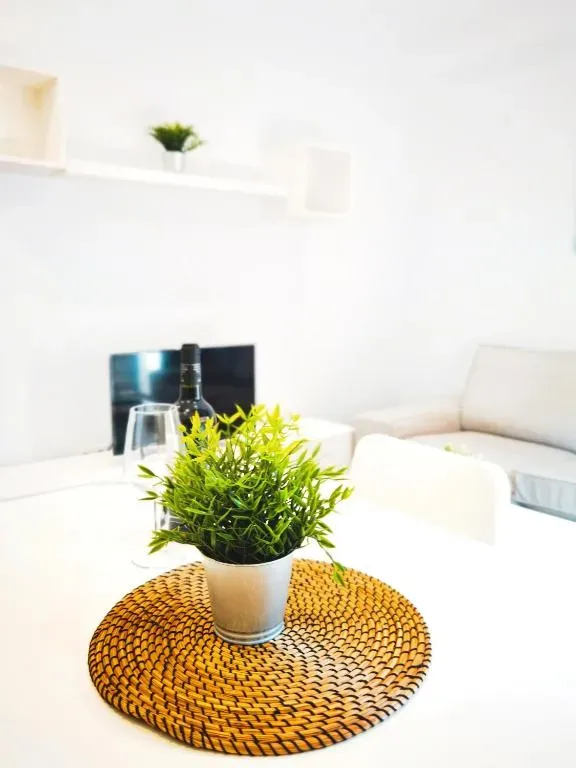 Una planta en maceta reposa sobre un mantel tejido encima de una mesa blanca; detrás de ella hay una botella y un vaso.