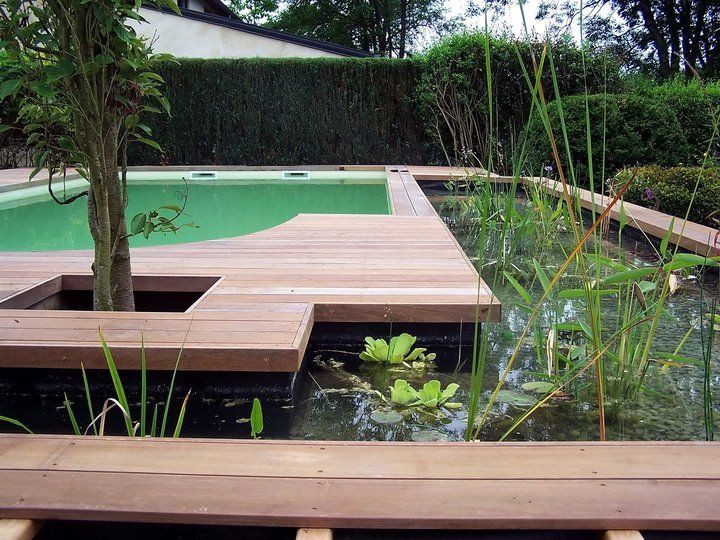 Photo piscine naturelle - biologique végétale