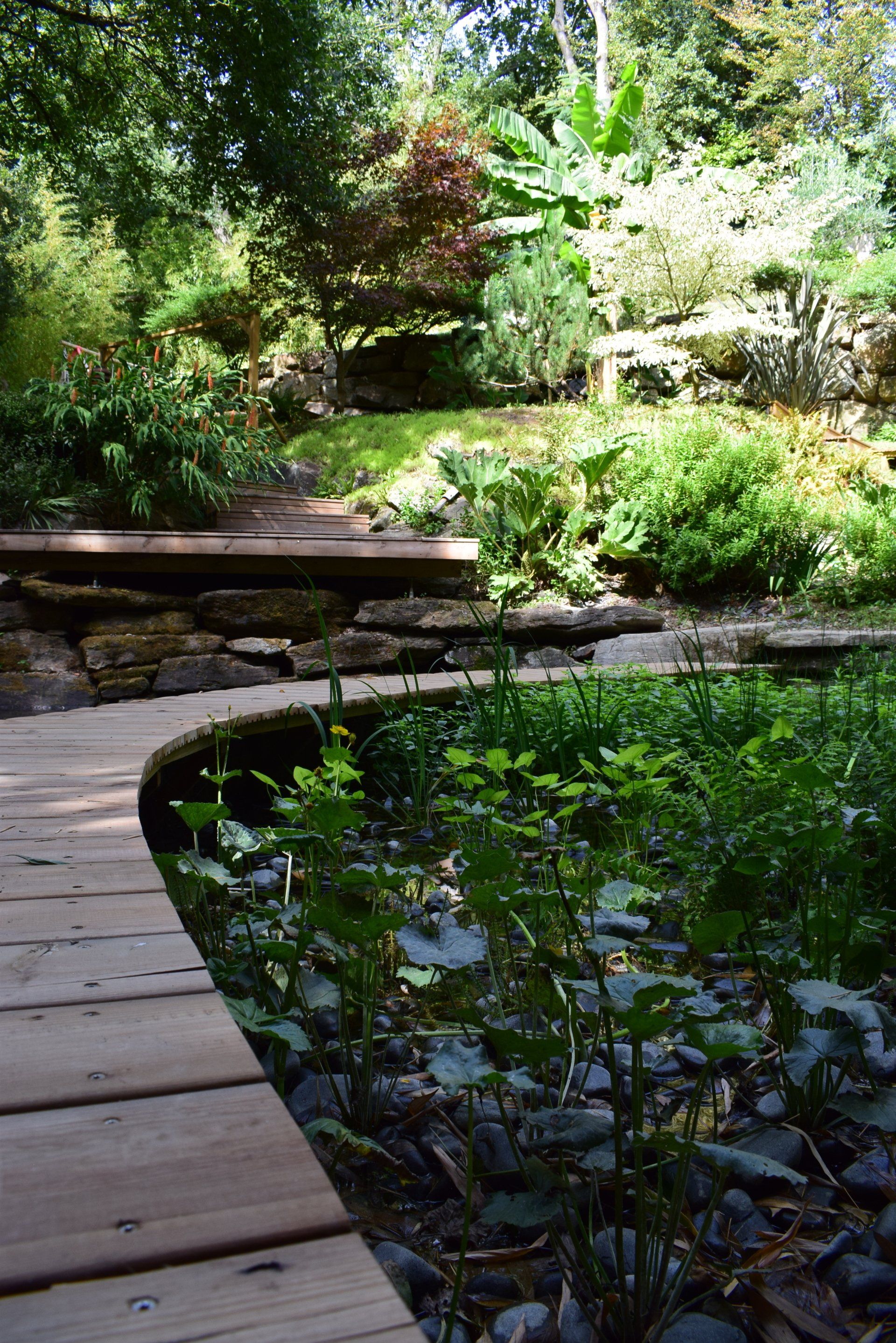 Photo piscine naturelle - biologique ecologie et végétation