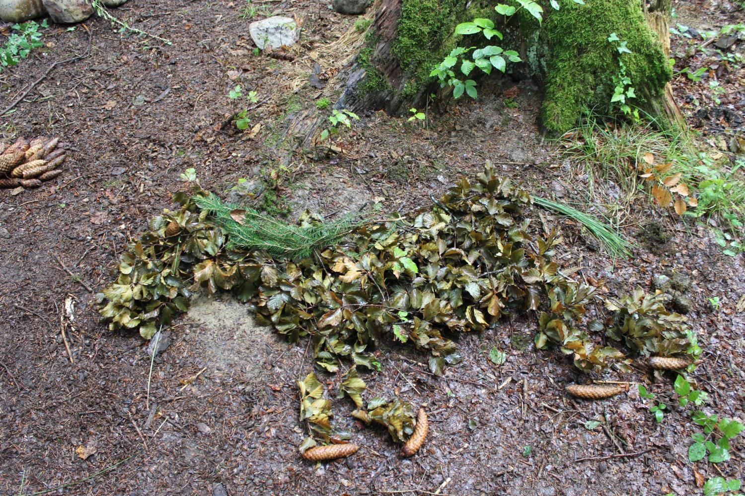 Trachtengruppe Rothrist