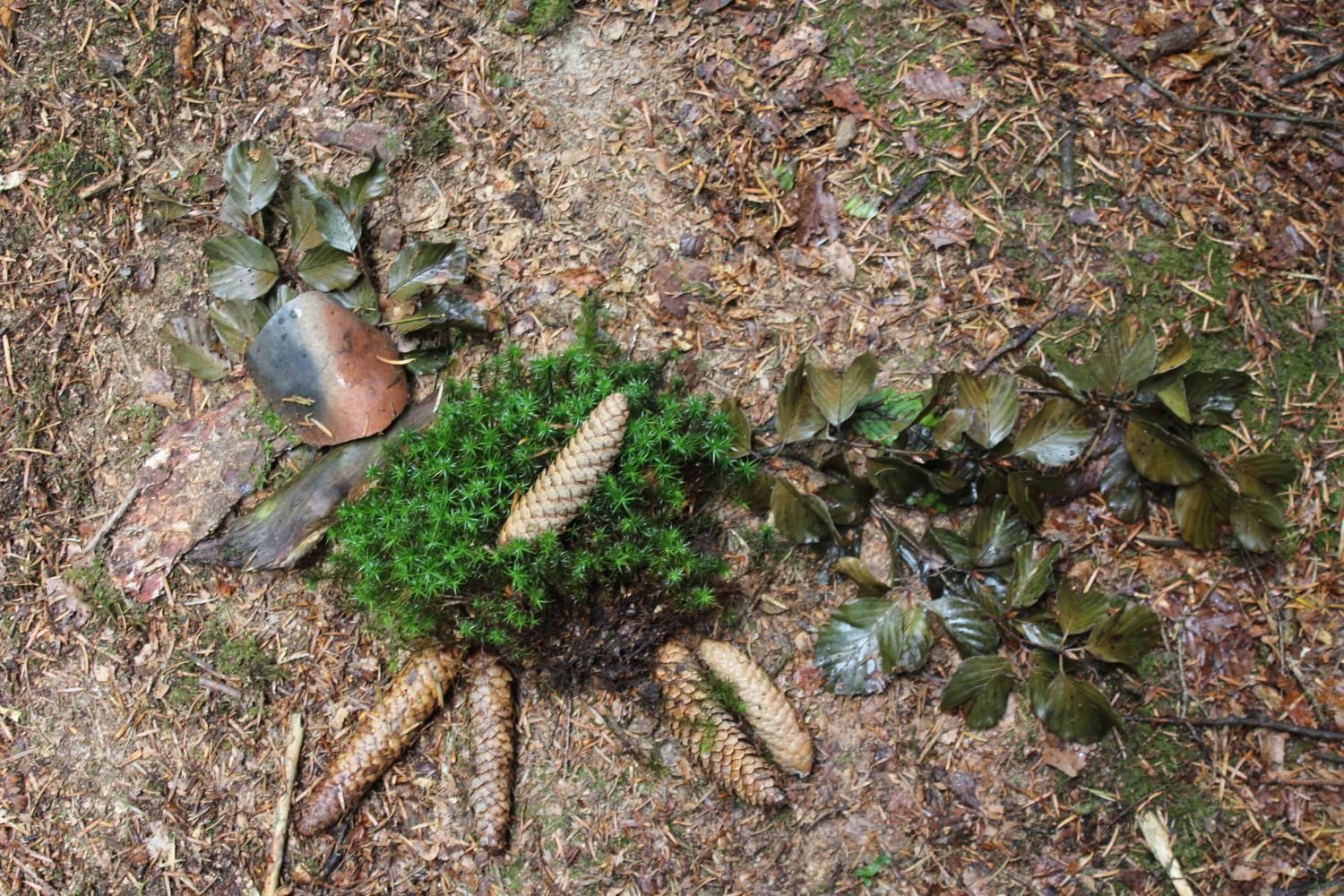 Trachtengruppe Rothrist