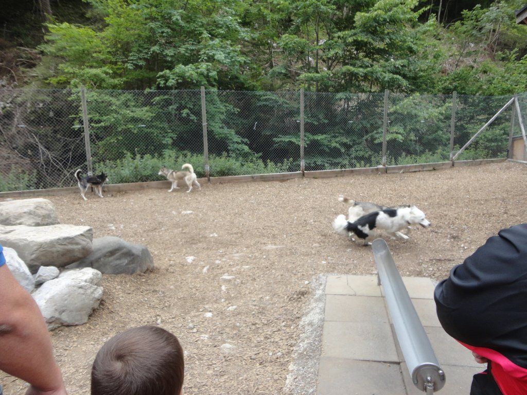 Trachtengruppe Rothrist