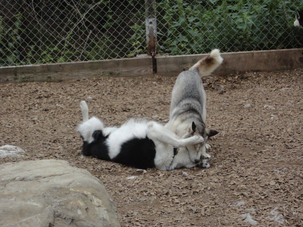 Trachtengruppe Rothrist