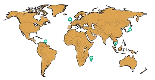 Un mapa del mundo con alfileres verdes.