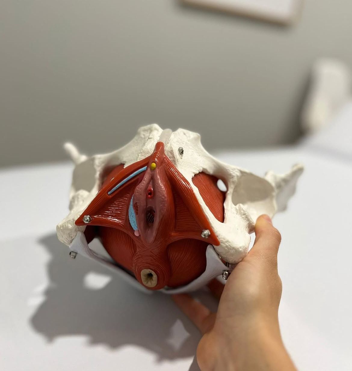 Mujer haciendo ejercicio sobre una pelota de estabilidad, sostenida por una persona en una clínica.