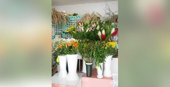 Muguette Paranon au François en Martinique Nos bouquets