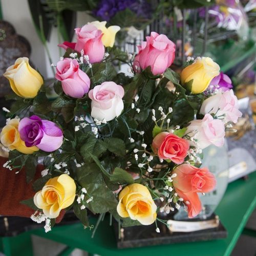 A. Pinto Fleurs-Petit-Lancy