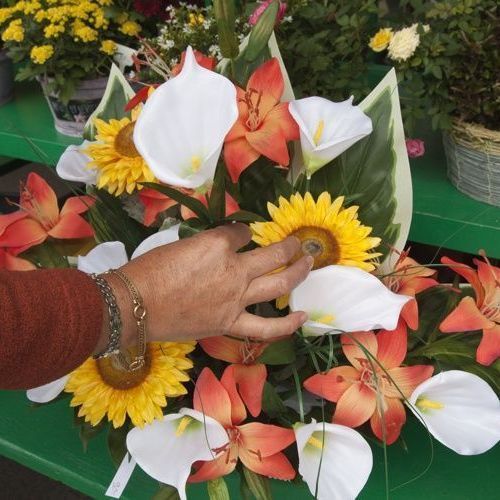 A. Pinto Fleurs -Petit-Lancy