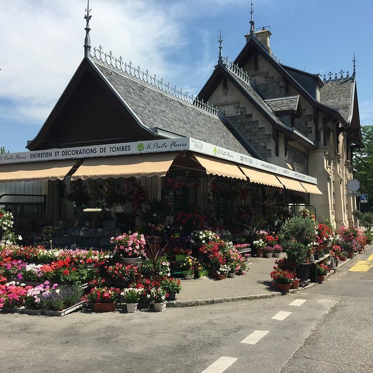 A. Pinto Fleurs -Petit-Lancy