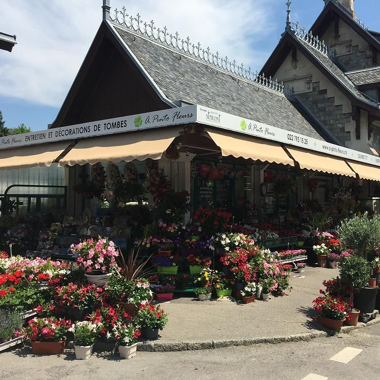 A. Pinto Fleurs-Petit-Lancy