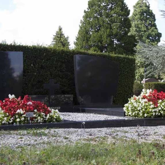 A. Pinto Fleurs -Petit-Lancy