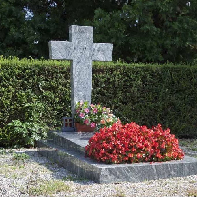 A. Pinto Fleurs -Petit-Lancy