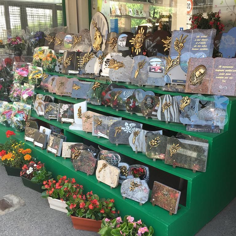 tulipe - A. Pinto Fleurs