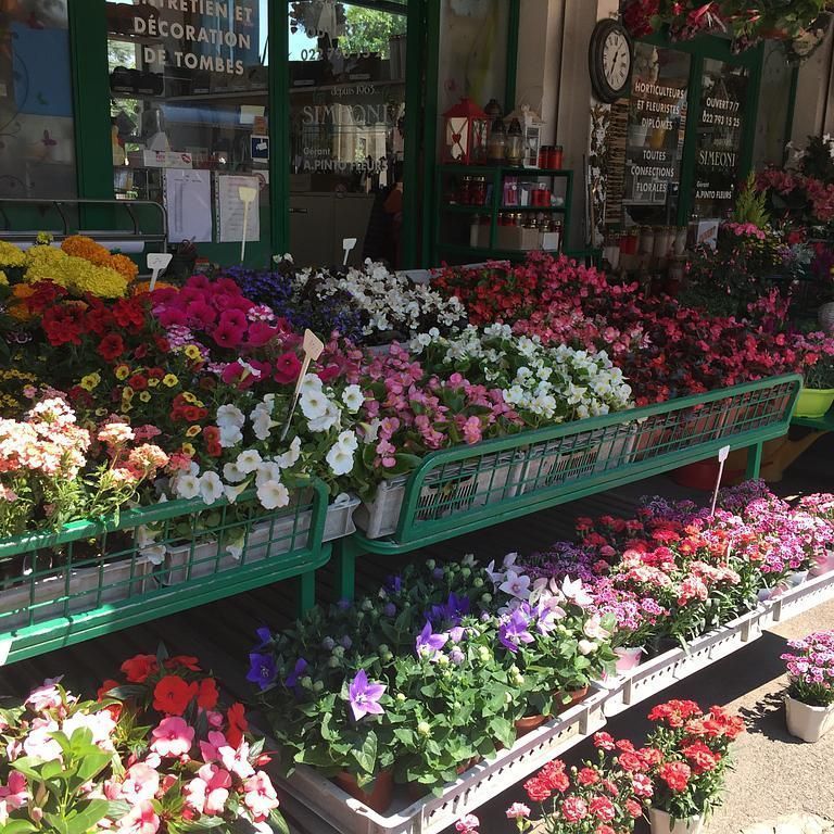 fleuriste - A. Pinto Fleurs