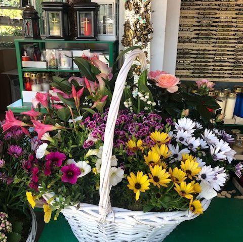 fleurs séchées - A. Pinto Fleurs