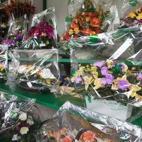 A. Pinto Fleurs-Petit-Lancy