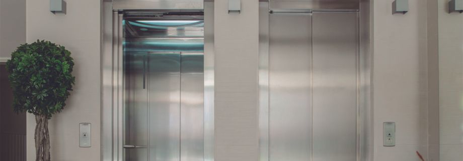Dos ascensores de acero inoxidable con puertas cerradas en un pasillo bien iluminado, pequeña planta topiaria en maceta a la izquierda.