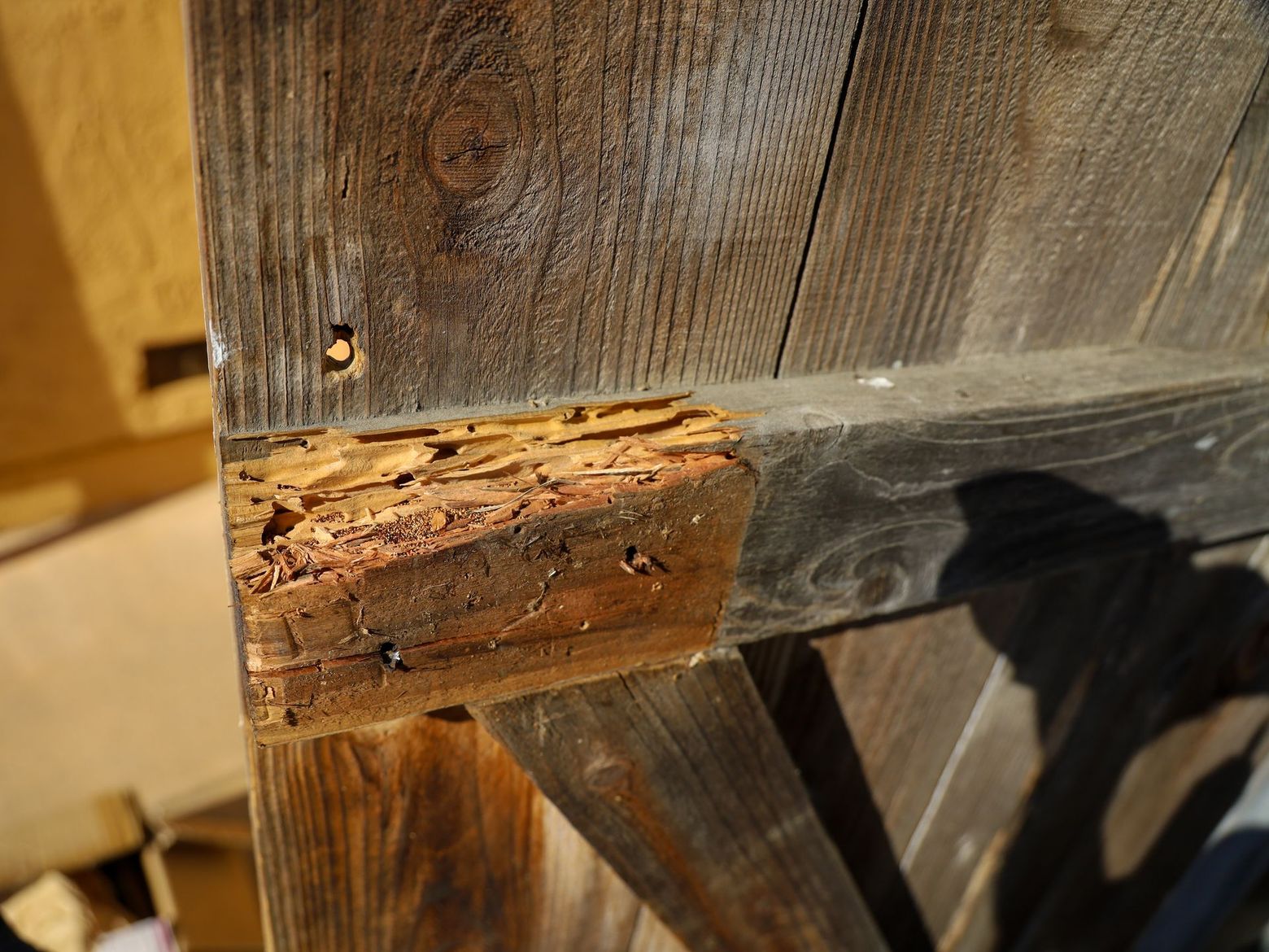 Main gantée appliquant une finition sur un plateau de table en bois à l'aide d'un chiffon