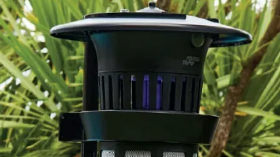Lanterne de jardin noire d'extérieur avec un dôme sur fond de feuillage vert