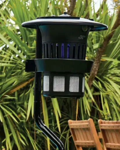 Lampe piège à insectes solaire d'extérieur noire, montée sur un poteau incurvé et équipée de panneaux en maille, dans un jardin.