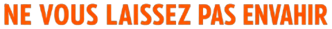 Un texte avec écrit Ne vous laissez pas envahir.