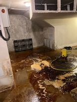 Sole en mauvais plein d'eau