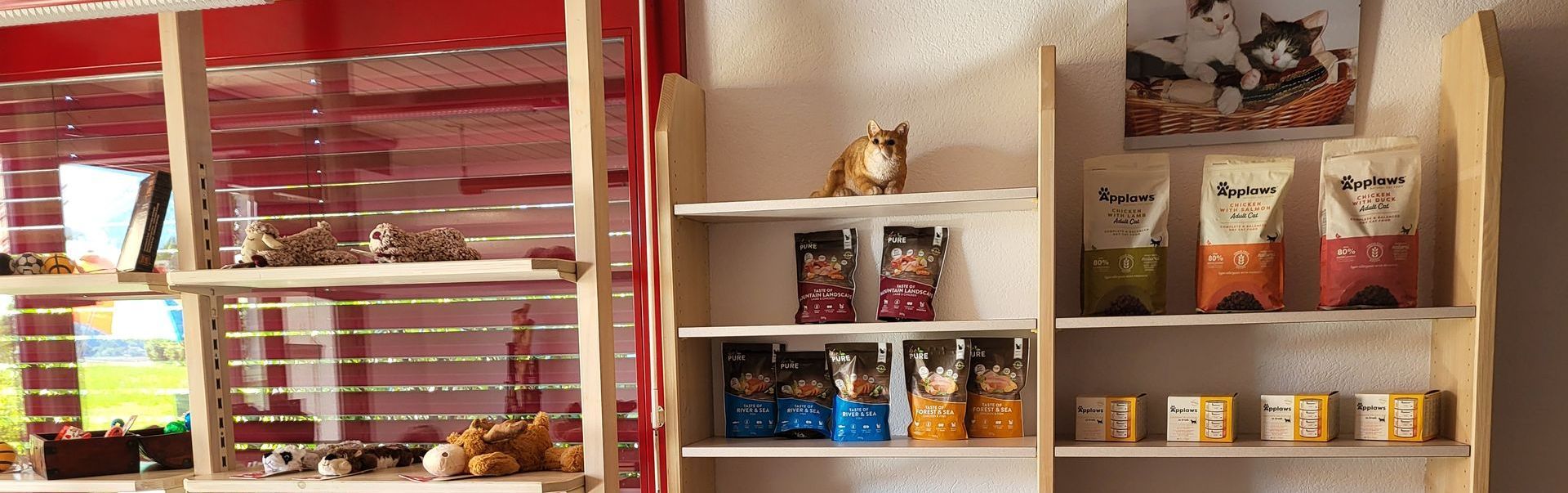 Eine Katze sitzt auf einem Regal in einem Geschäft.