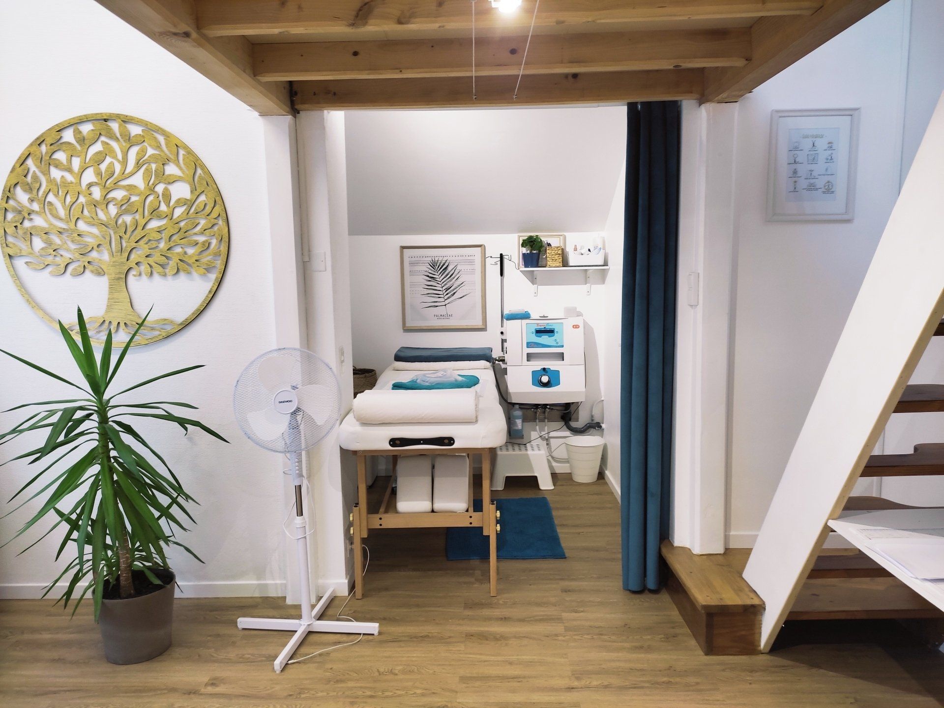 Salle de thérapie avec table de soins, équipement médical et arbre décoratif.