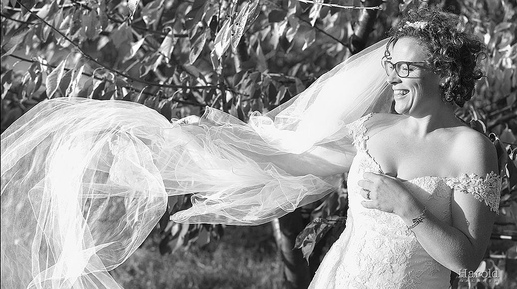 Mariée sous le vent