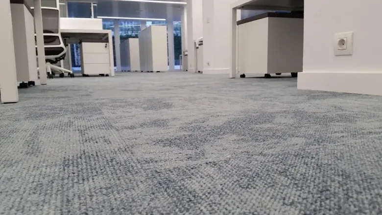 Alfombra azul en una oficina luminosa con escritorios y armarios blancos.
