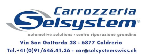 Selsystem Swiss SA - logo