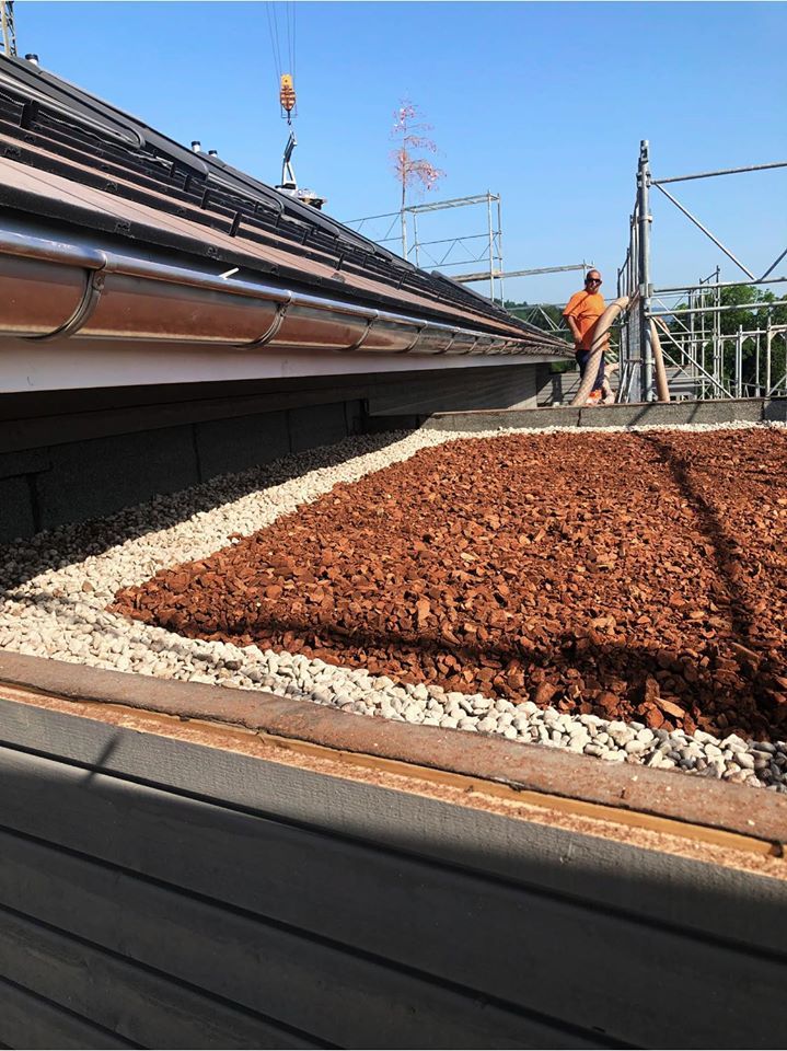 Dachbegrünung | TG Flachdach GmbH | Kanton Luzern