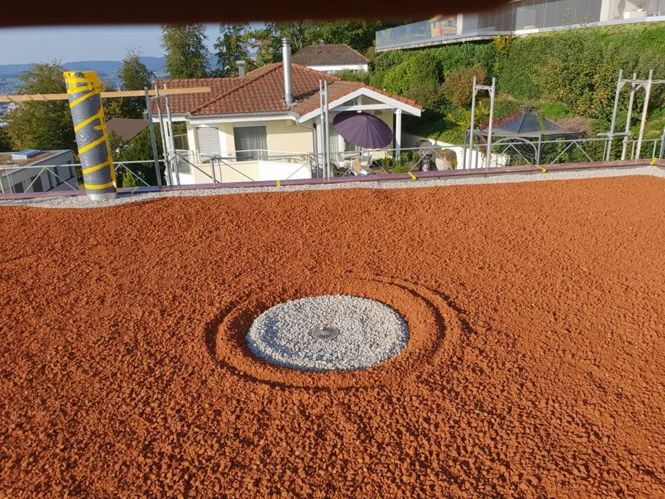 Begrünung | TG Flachdach GmbH | Kanton Luzern