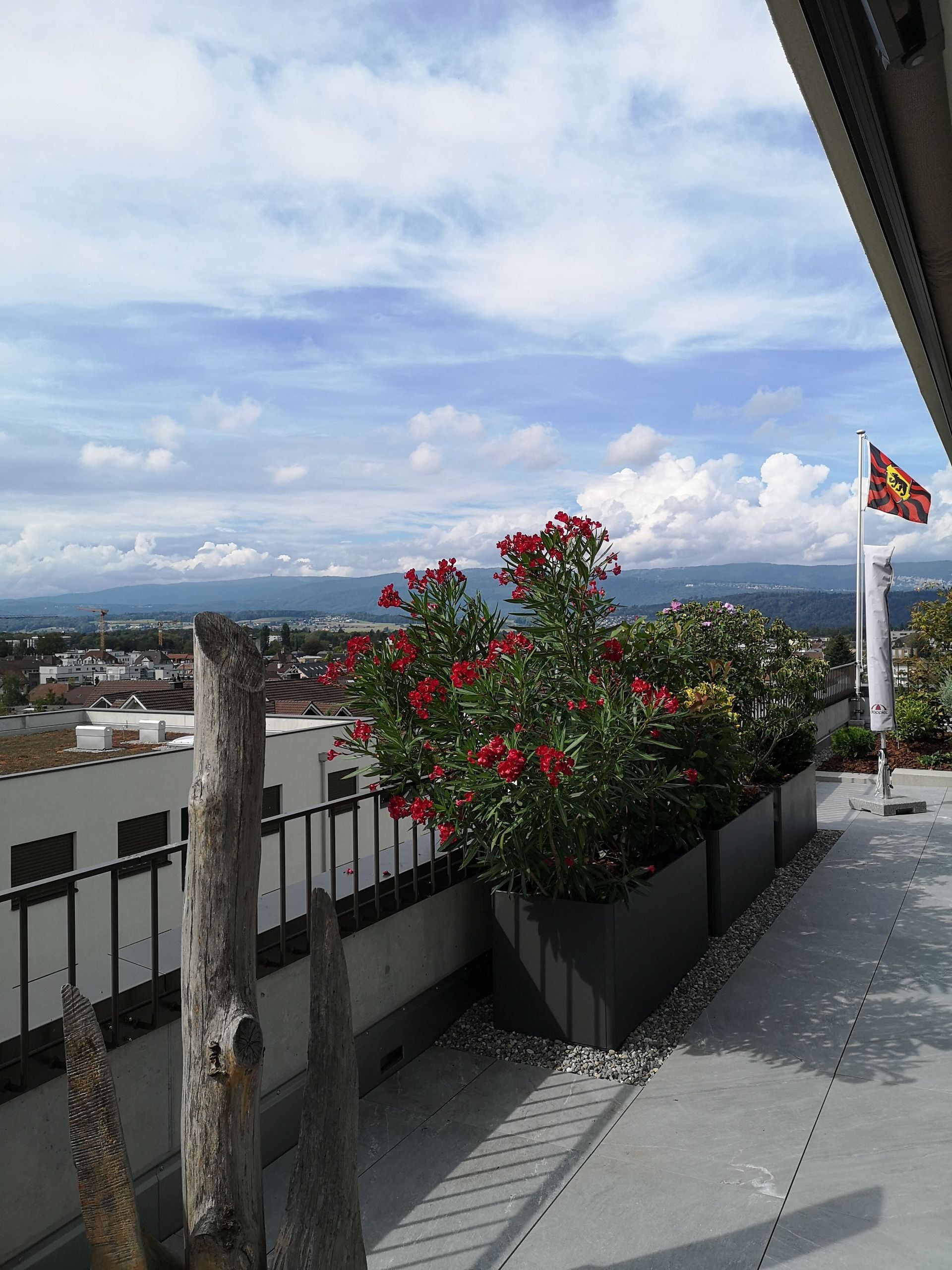 Dachterrasse - Gerber Gartenbau AG - Lyss