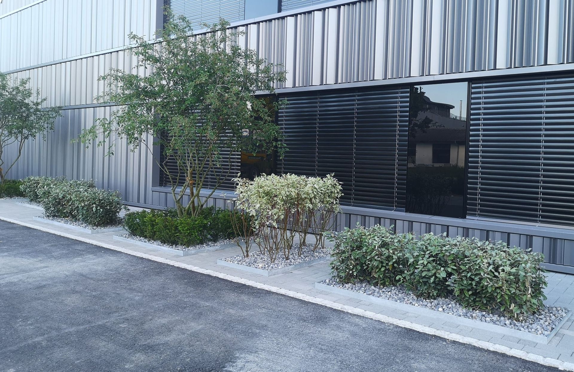 Tinimida, Feldbrunnen - Gerber Gartenbau AG - Lyss