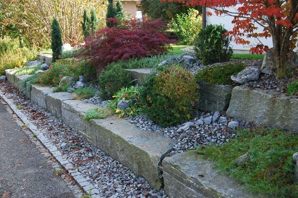 Tinimida, Feldbrunnen - Gerber Gartenbau AG - Lyss